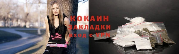 мдпв Осинники