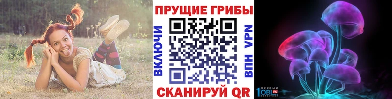 Псилоцибиновые грибы Magic Shrooms  Кирово-Чепецк 