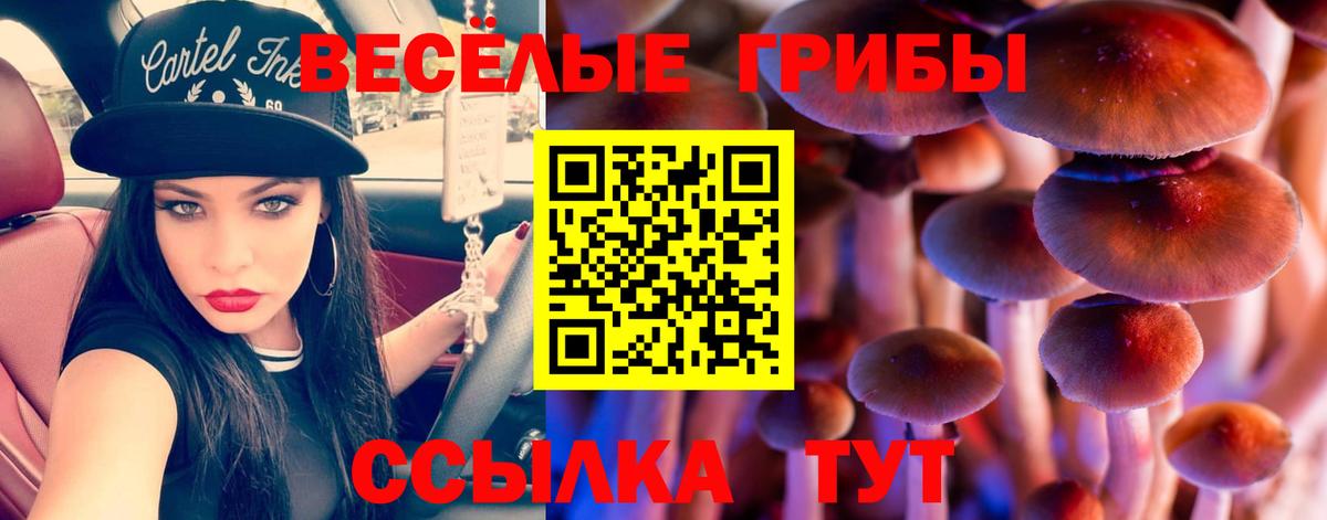 Галлюциногенные грибы Psilocybe  Вход с VPN  Кирово-Чепецк 