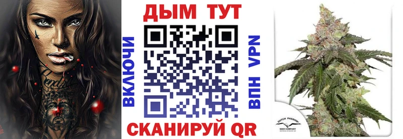 как найти   Кирово-Чепецк  Конопля SATIVA & INDICA 